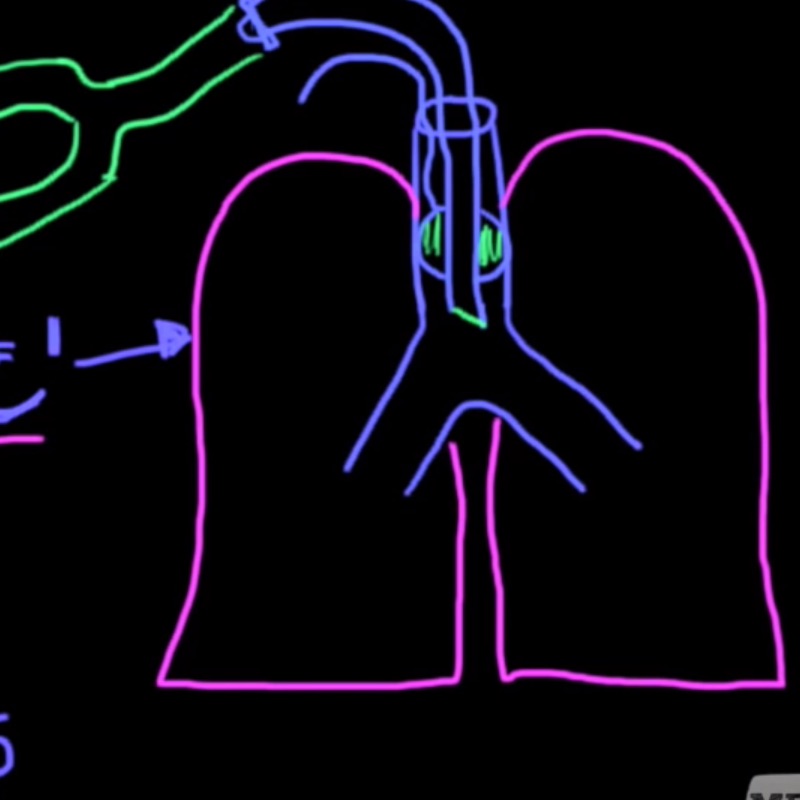 Mechanical_Ventilation_Explained_Clearly_-_Ventilator_Settings___Modes_-_YouTube